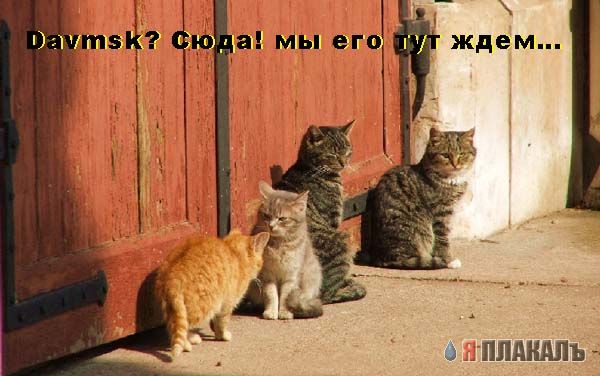 Уже да :) Ужо пятнецца...