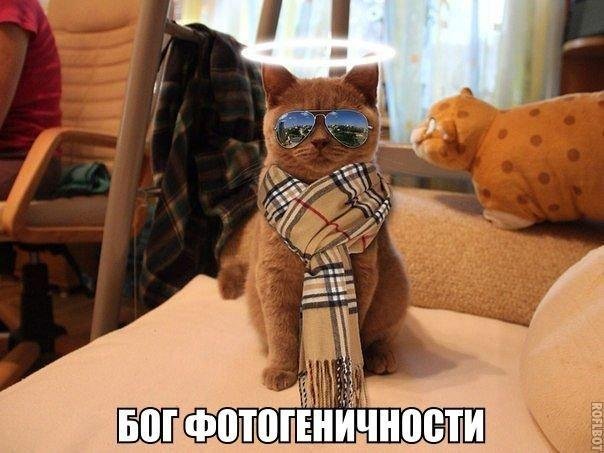 Подборка картинок на 05.04.16
