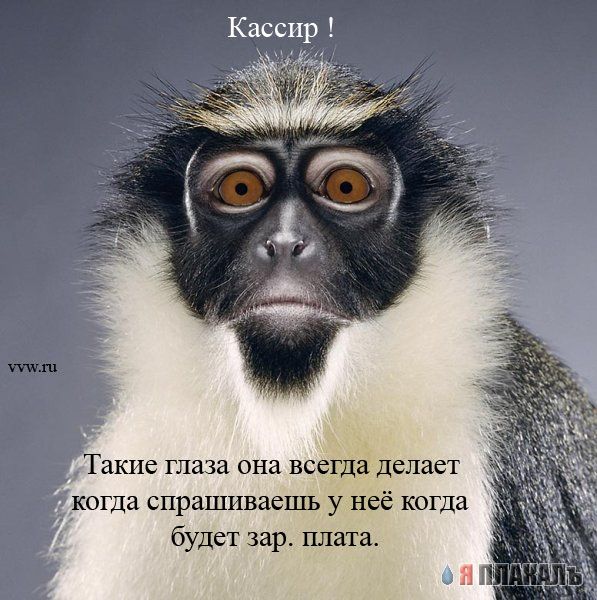 Офис в лицах (15 фото)