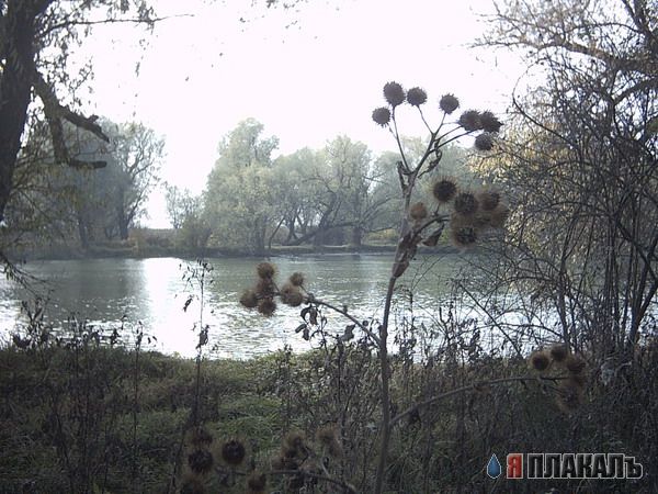 ВОДА. Моря, океаны, реки, водопады, капли, брызги