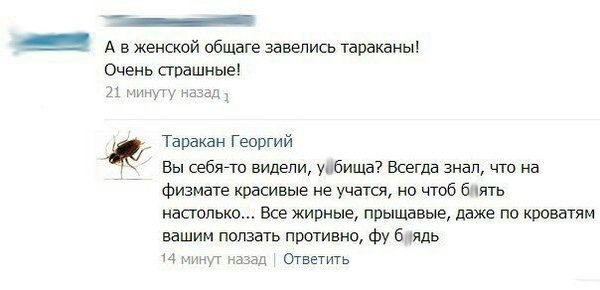 Подборка смешных картинок с надписями