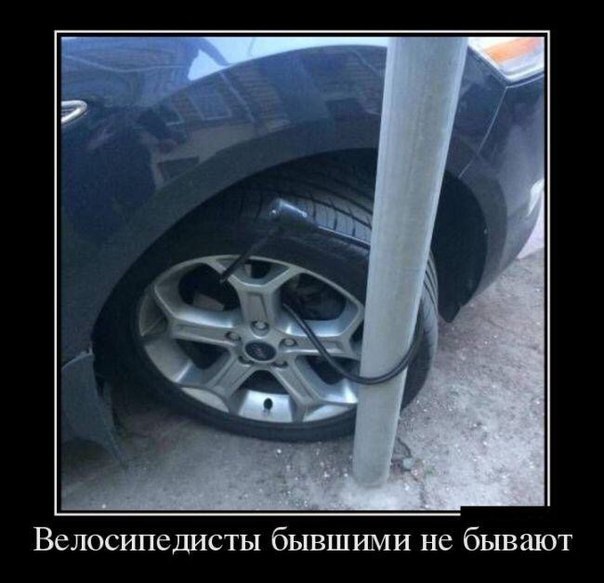 Подборка интересных и веселых картинок