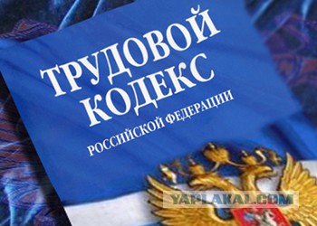 Новый начальник