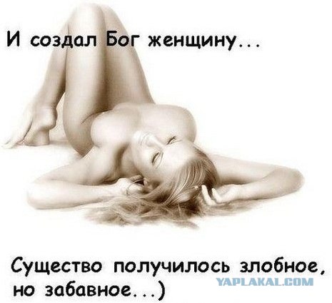 За что только мужчины любят полных девушек