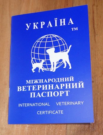 Кто виноват в войне на Донбассе? Опросы в городах Украины