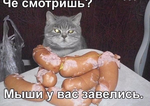 Подборка интересных и веселых картинок