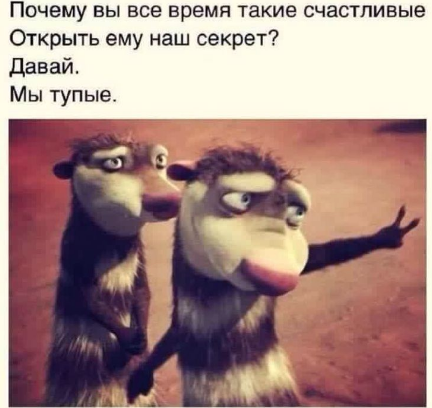 Ничего не напоминает?
