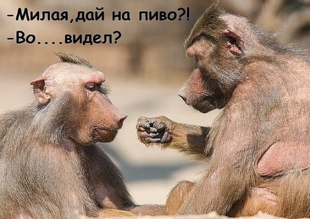 Подборка картинок для настроения