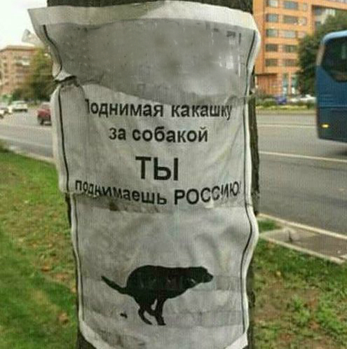 Вижу рифму!