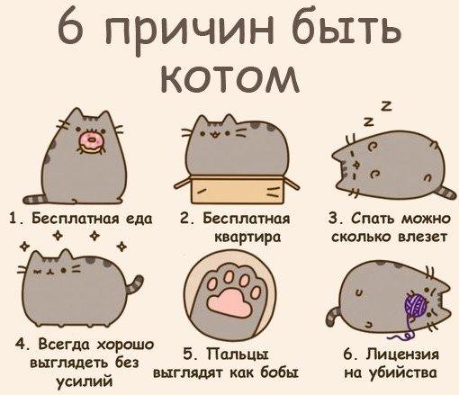 Собрал целый букет