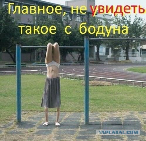Трезвый расчёт: за пять лет число страдающих алкоголизмом в России снизилось на 22%