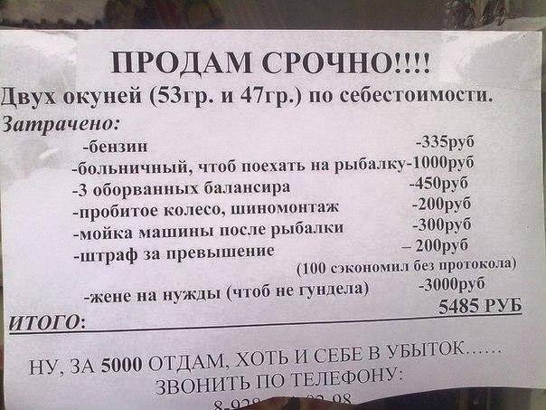 Рыболовные кубики на четверг