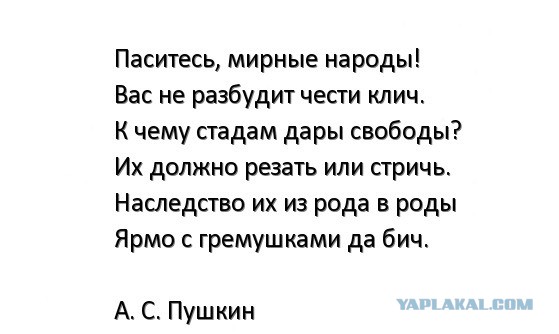 В правительстве поддержали идею изымать доллары у россиян