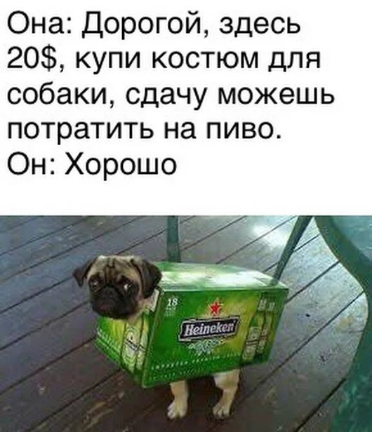 Картинки юморные и тексты