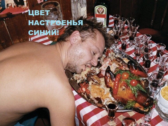 Скотсети и прочие интернеты 03.12.18