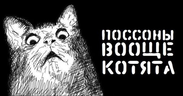 Сколько котэв в коробке?