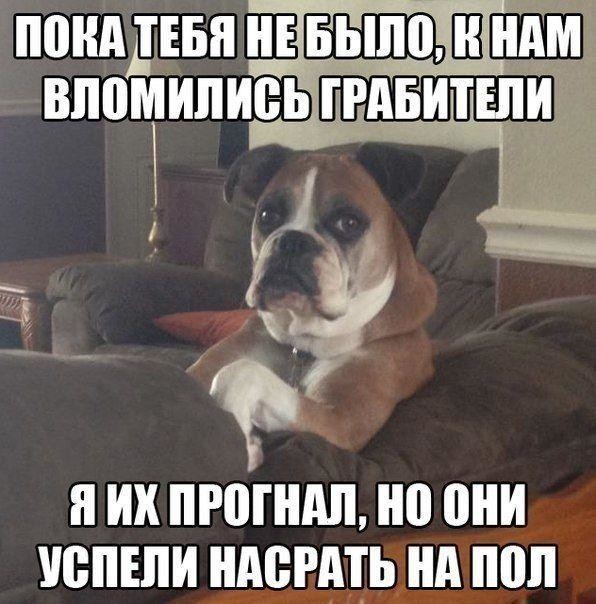 Нестандартный юмор