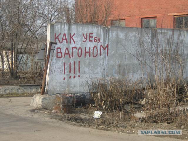 «Бродячие» философы: 17 глубокомысленных заметок в транспорте и на улицах