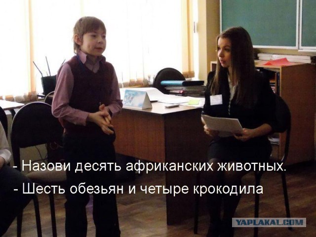 Учителя теперь могут не иметь педагогического образования