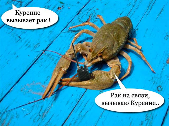 Немного картинок для настроения