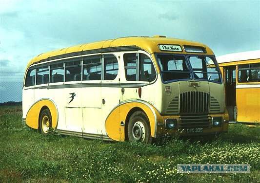 Игра на ЯПе: Угадай АВТО-3