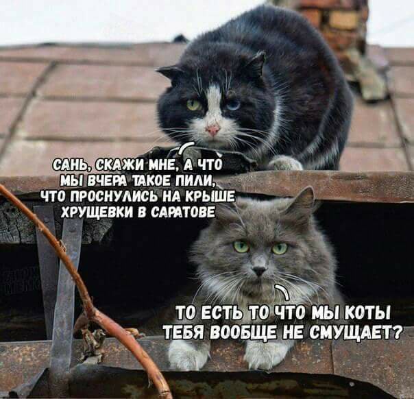 Жека застрял