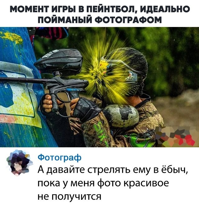 13357897.jpg