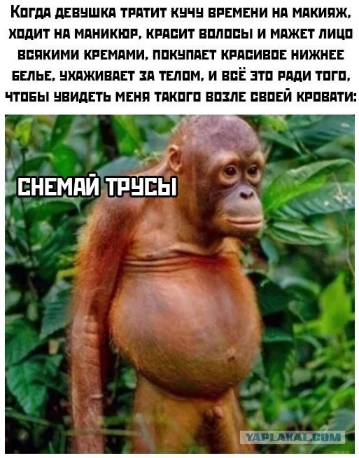 После 50-ти мужчине лучше без жены?