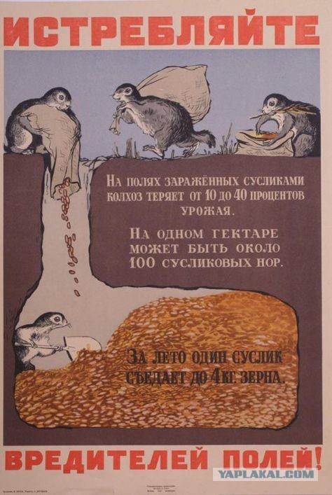 Занятым женам, у которых вечно болит голова - в помощь