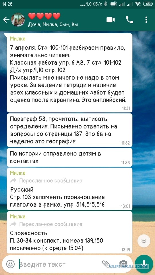 «Еще месяц такой работы, и от меня уйдут муж, дети и кошка»: крик души учителя на удалёнке