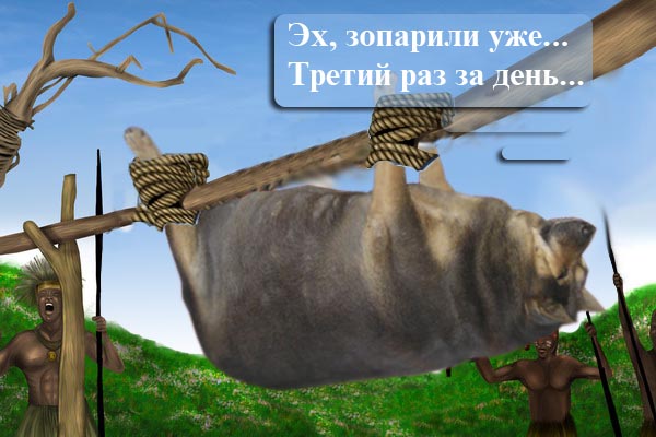 Фотожаба: О чем же думает собака?....