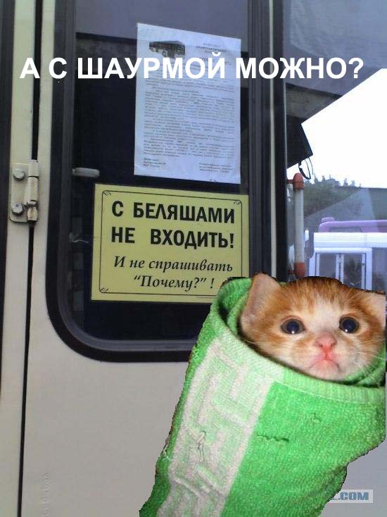 Не входить с беляшами!
