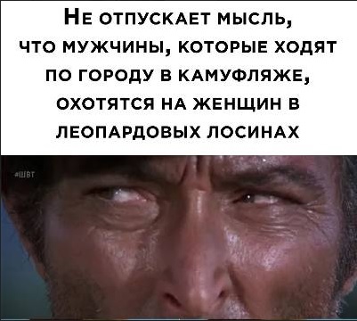 Картинки из рабочего чата 25.07