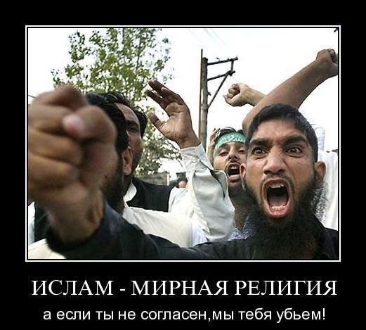 «Ты тупое животное»: боец ММА накинулся на Собчак за поддержку Макрона