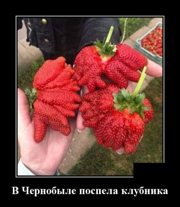 Прикольные и просто красивые картинки 10.11.2020
