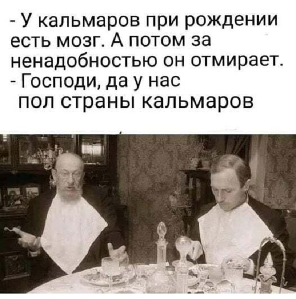 15123897.jpg
