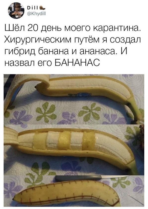 Весёлый полтишок 1.04