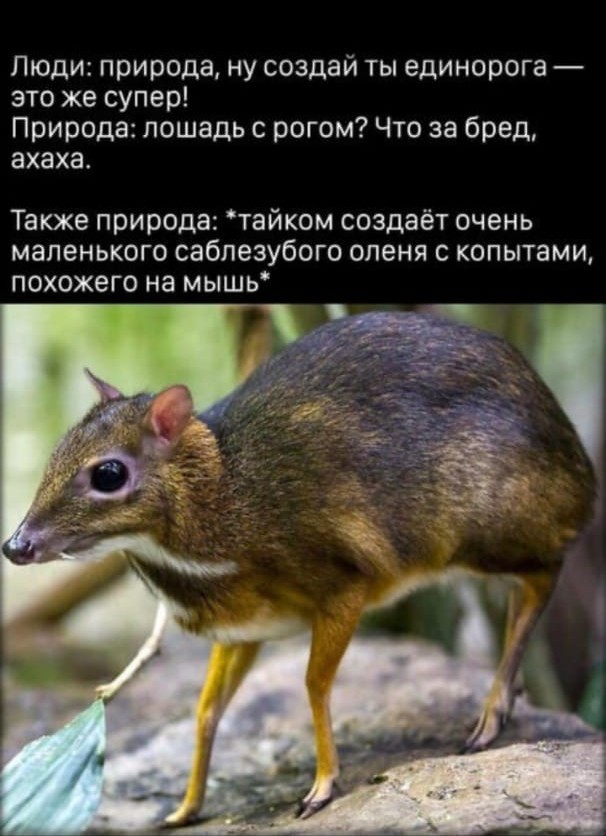 Так себе картинки 23.04.21