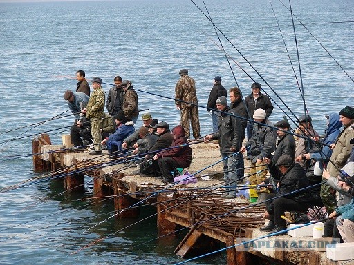 Ловкий рыболов