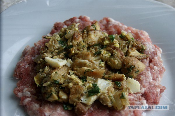 International одной книги., В память о Дженибеке.