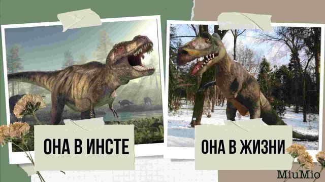 Мои умные и не очень мысли в картинках