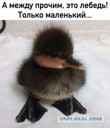 Так себе картинки 19.10.21