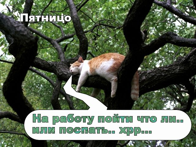 ПяТниЦо! (12.11.2021)