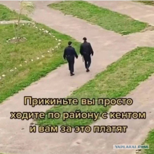 Аморальная деградация