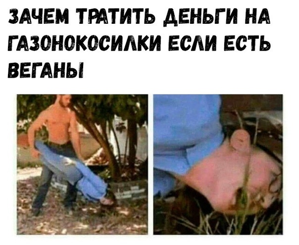 ПервоФевральская Хня, для дорогих деградантов