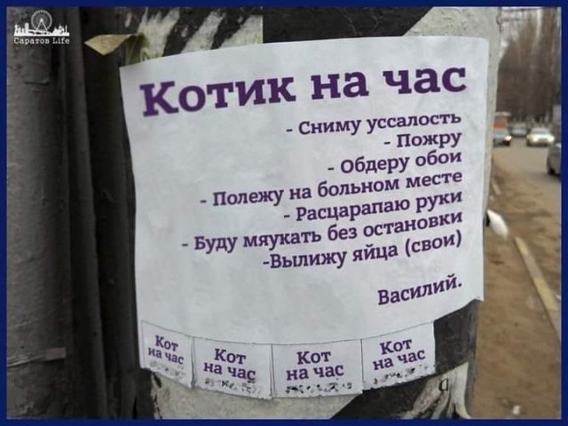 Котовторник. Картинки и буквы 08.02.22
