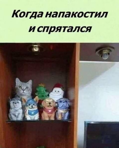 Улыбнись, не грусти!
