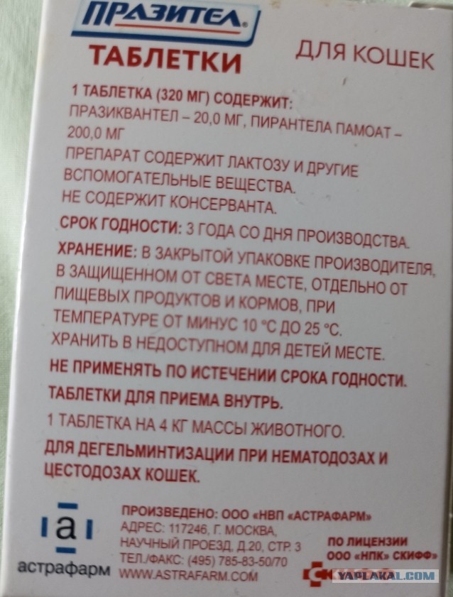 В 93% российских ветклиник испытывают дефицит препаратов и вакцин