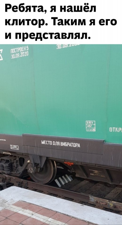 16686897.jpg