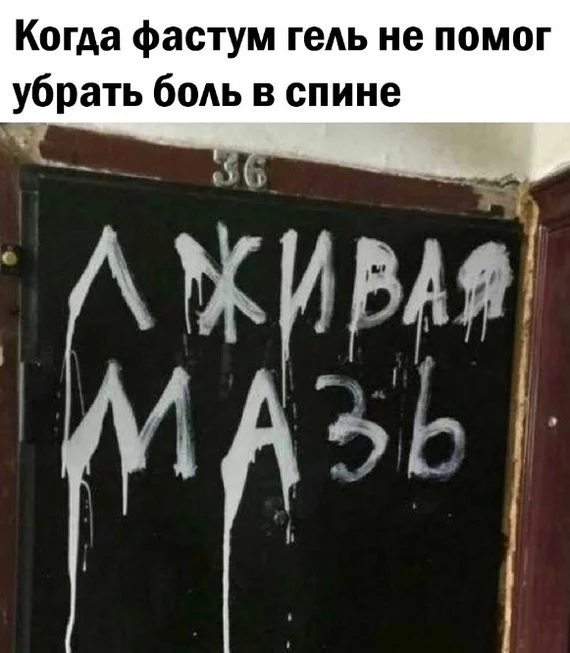 Весёлый полтишок 24.05.22